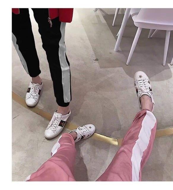Quần jogger sọc viền cực hot