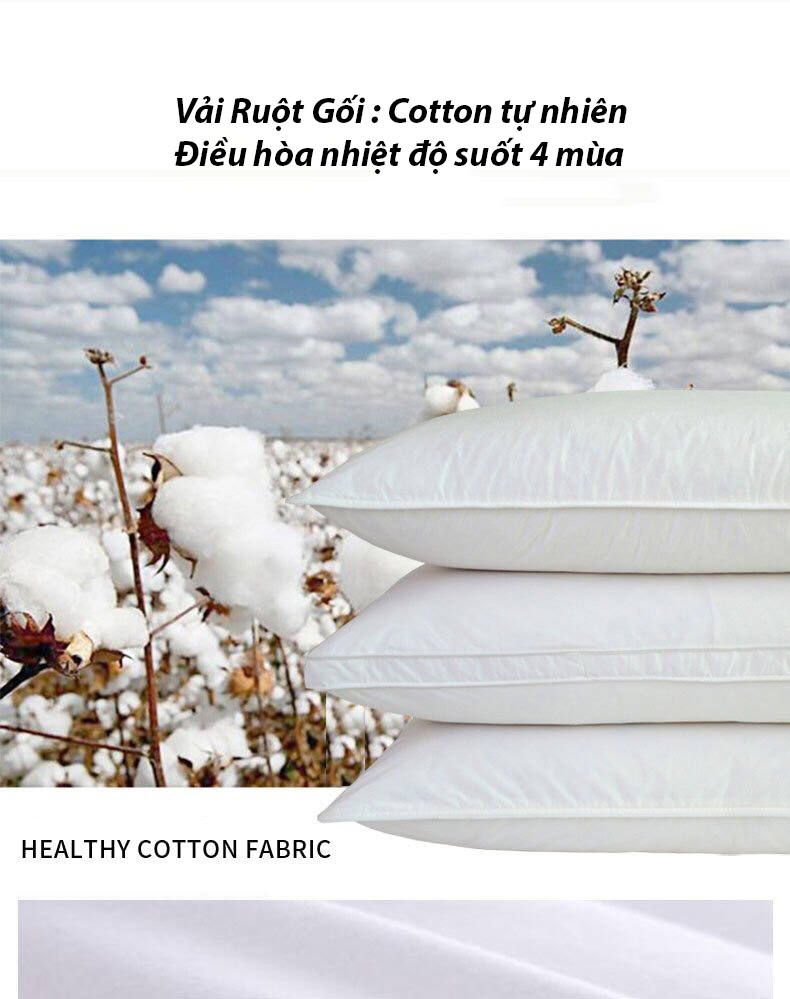 Ruột Gối Nằm Khách Sạn DADA
- Gòn Polyester Nâng Đỡ Vai Gáy