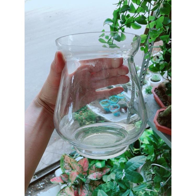 Chậu Thủy Tinh
