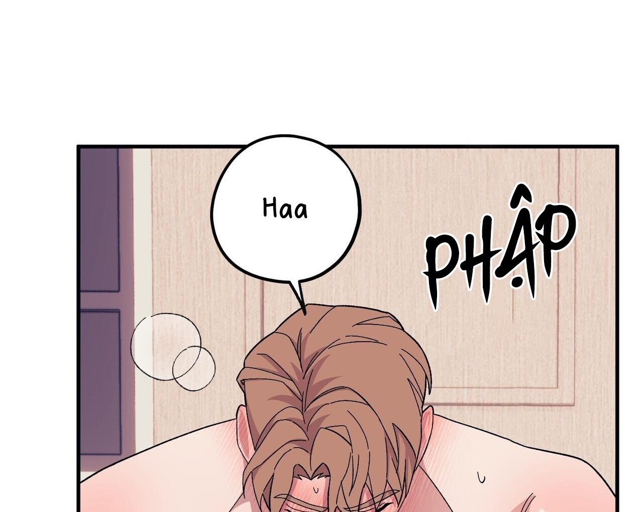 chàng dâu nhà họ kang chapter 47 170