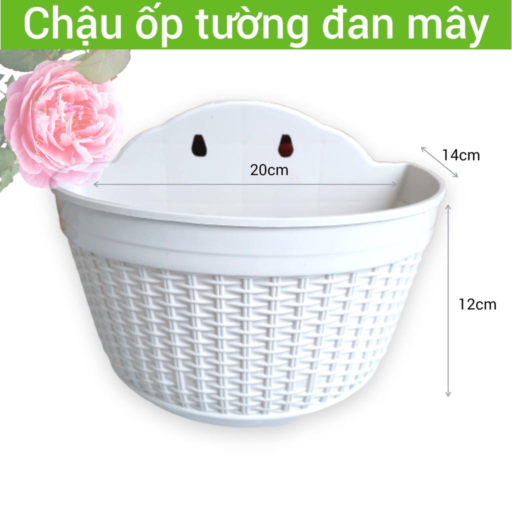 Chậu ốp tường họa tiết đan mây 20x14x12cm