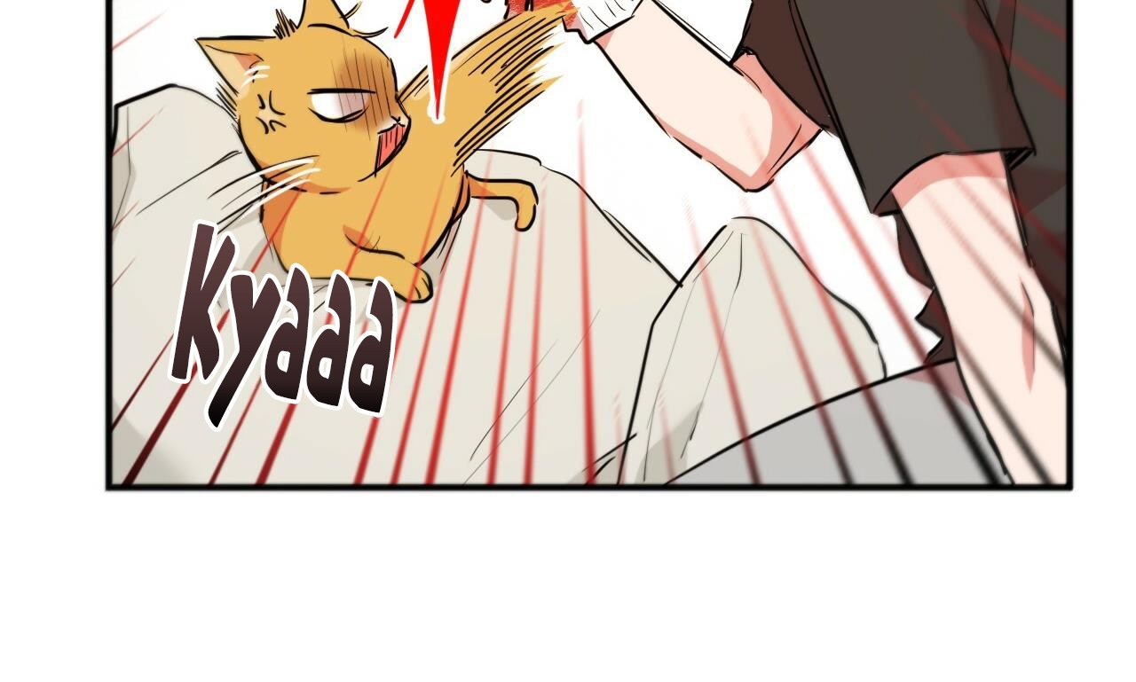 đàn thỏ của habibi chapter 30 247