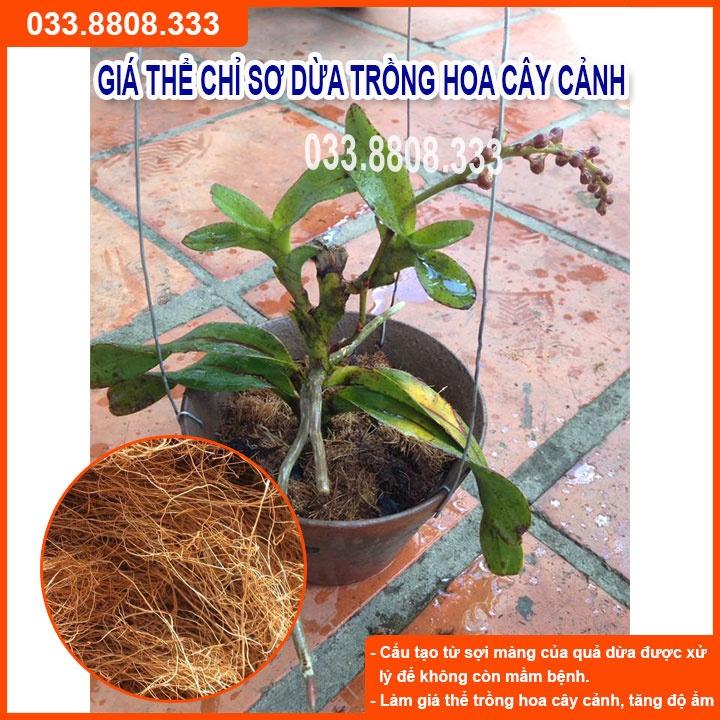 Chỉ Dừa Giá Thể Trồng Lan - Giá Thể Sạch