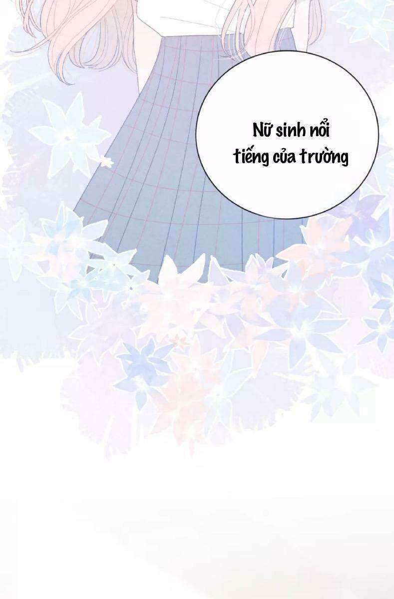 từ cái nhìn của em chapter 38 54