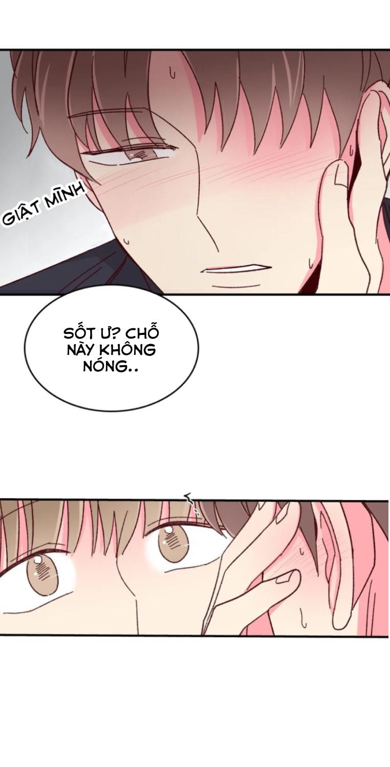 món tráng miệng của sếp tổng chapter 54 32