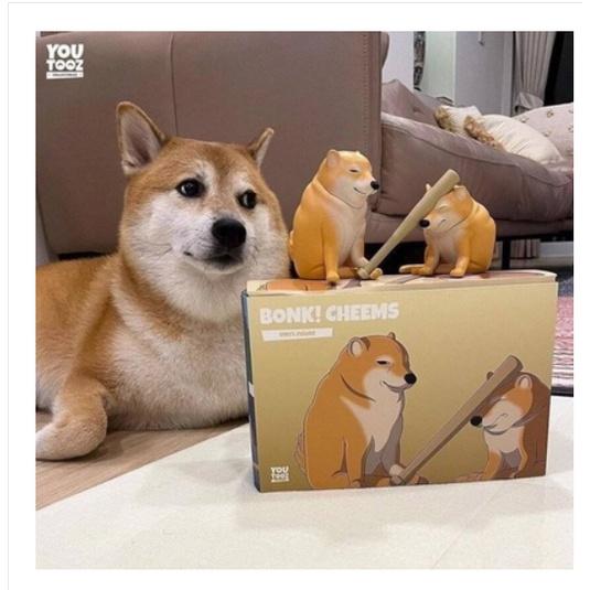 Tổng hợp 10 meme chó shiba Cheems tức giận bựa đáng yêu