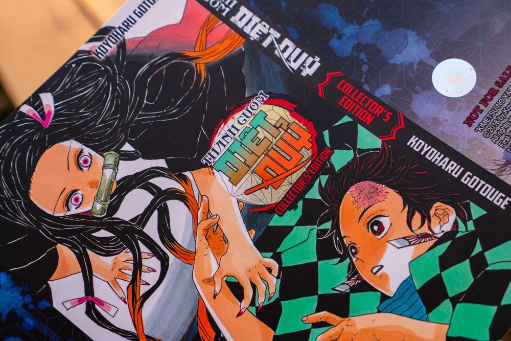 Thanh Gươm Diệt Quỷ - Kimetsu No Yaiba - Tập 22: Vòng Xoay Vận Mệnh - Bản Đặc Biệt - Tặng Kèm Bộ Huy Hiệu + Phụ Lục Độc Quyền: Báo Cáo Đặc Biệt Của Đội Diệt Quỷ + Bìa Áo