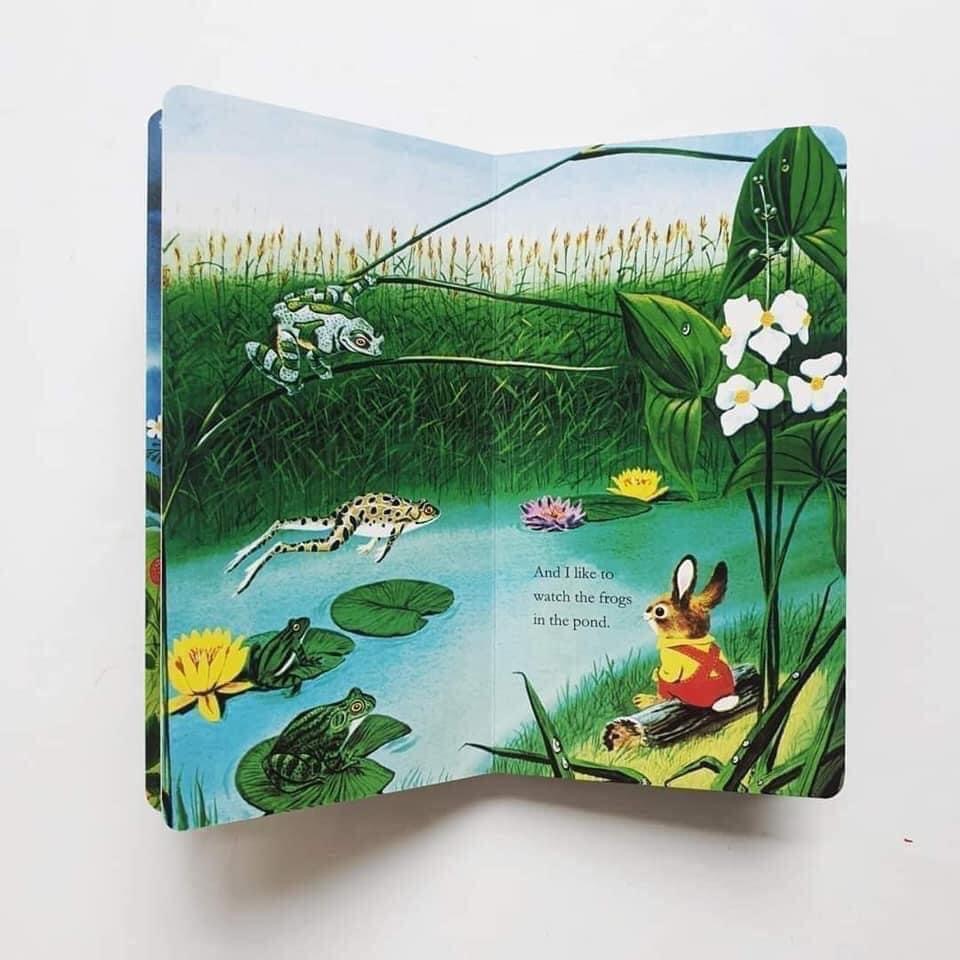 Bộ tiếng anh kinh điển của  tác giả Eric cale - board book- dear zoo - very hungry caterpill, polar bear -11Q kèm link  file nghe mp3