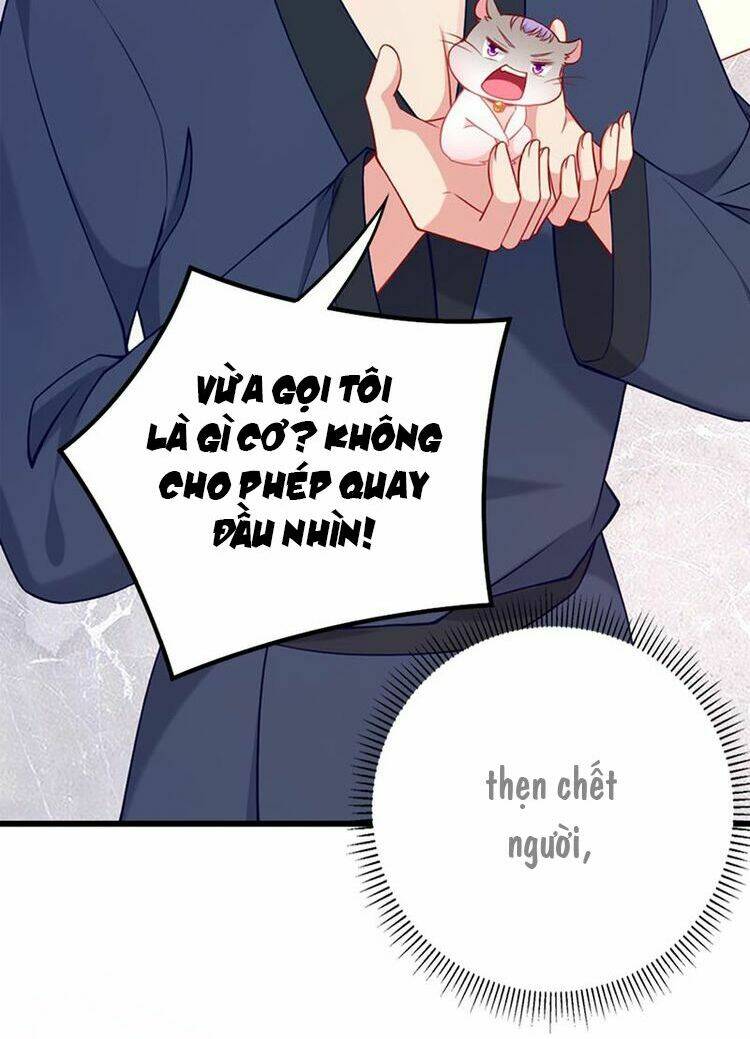 kế ước ngọt sủng:quốc dân lão công đích tiểu chiếm giữ thử chapter 4 4