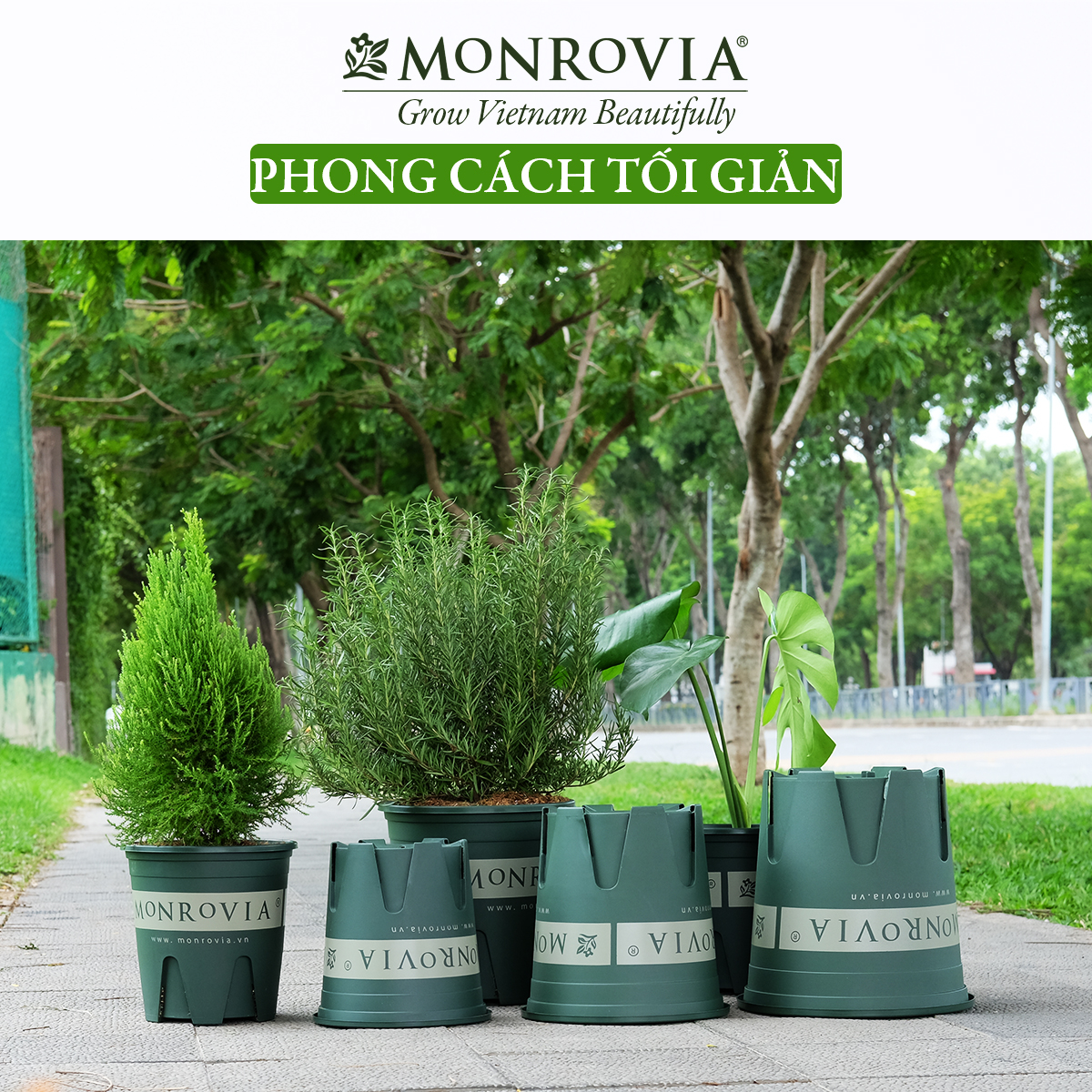 Chậu nhựa trồng cây MONROVIA 6 Gallon, Dòng M-Series, chậu trồng cây, chậu cây cảnh mini, để bàn, treo ban công, treo tường, cao cấp, chính hãng thương hiệu MONROVIA