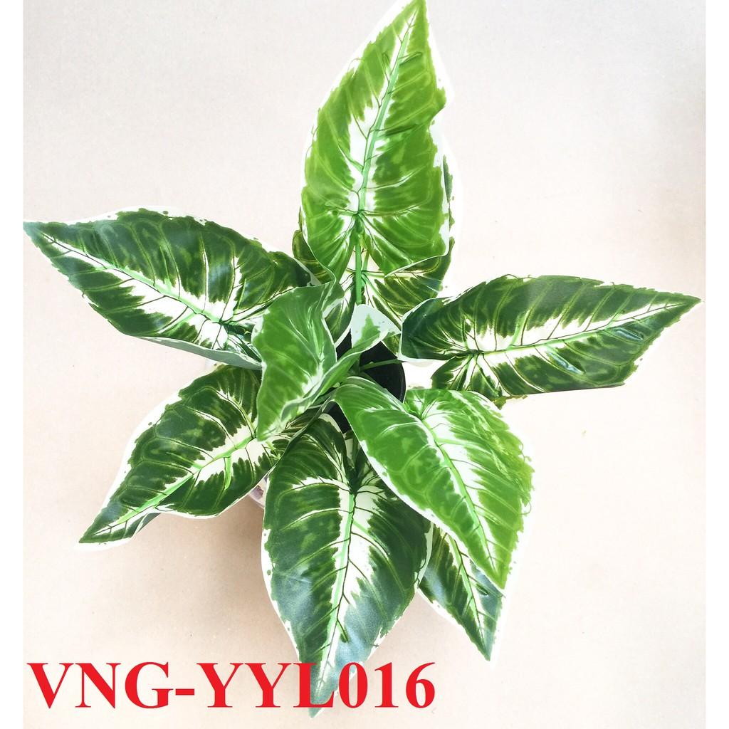 Cây giả - cây trang trí tróc bạc giả, cây trầu bà trắng giả, cây muống Nhật giả, 30cm - YYL16
