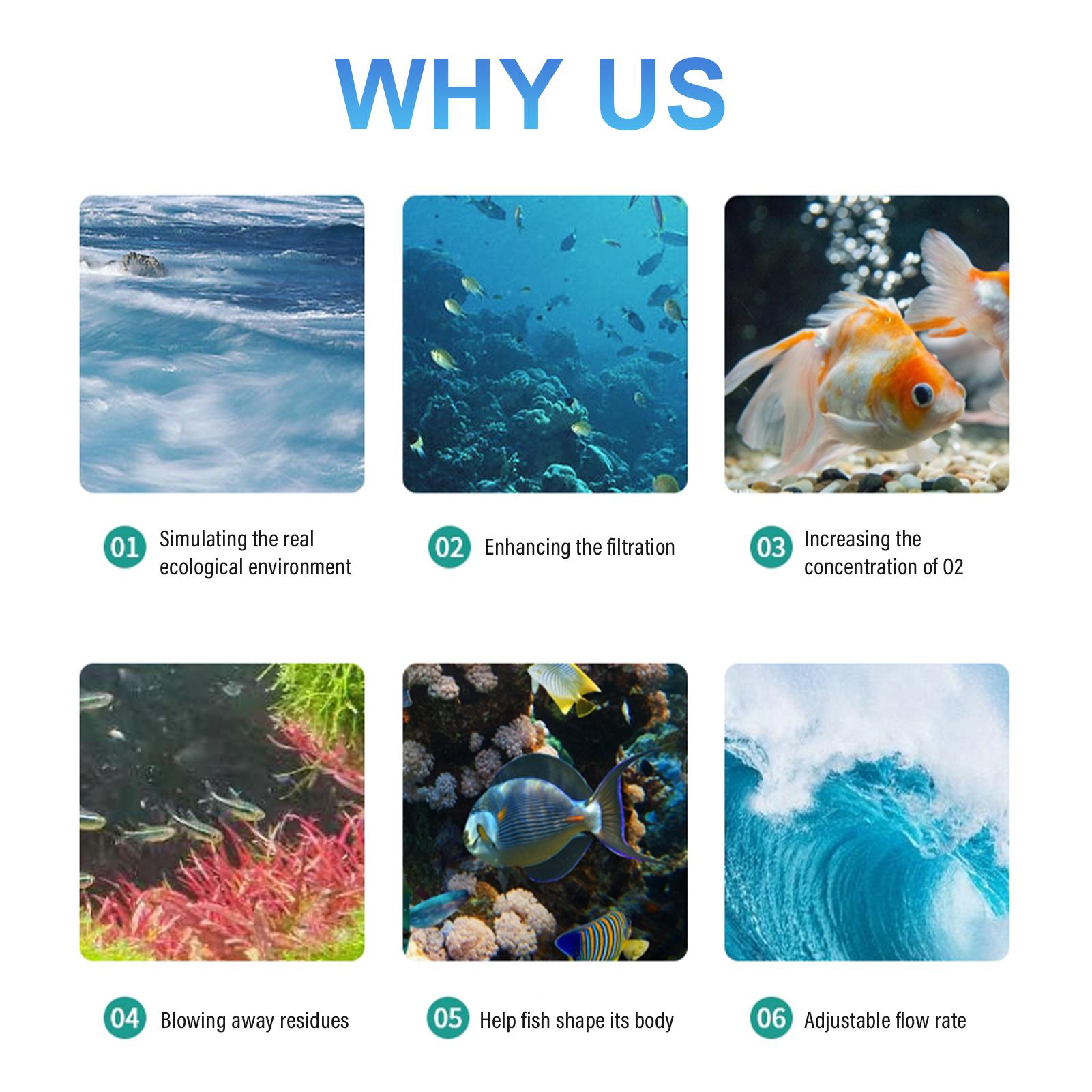 Máy Bơm Nước Tuần Hoàn Bể Cá Không Tiếng Ồn Với Hút Gắn Từ Tính Jebao Sw-15 40W