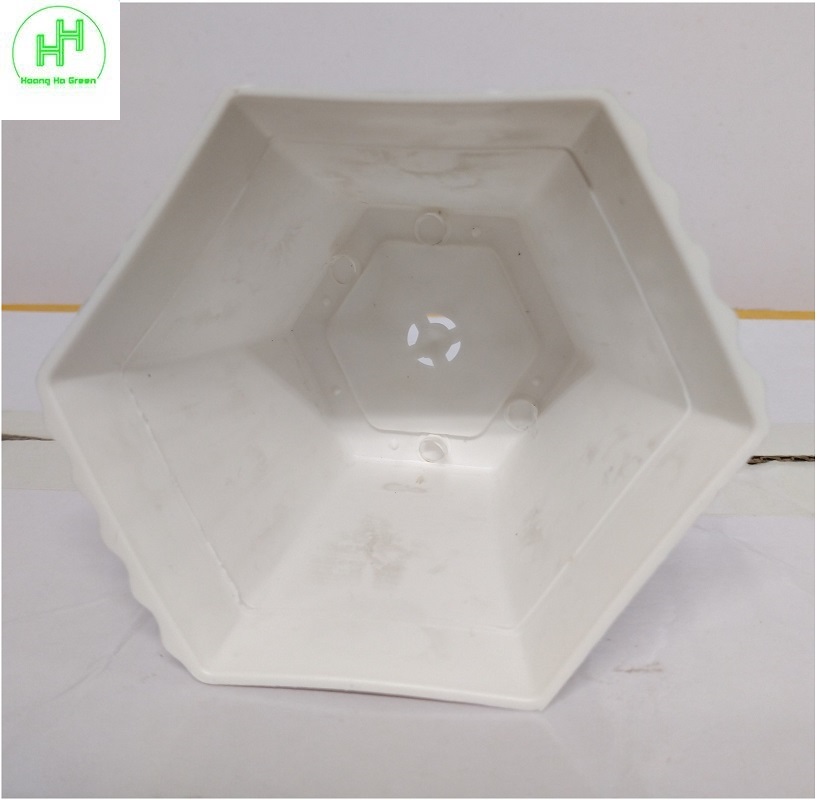 5 Chậu nhựa Lục giác Sen đá 100x80x60, trồng cây mini, xương rồng, cây để bàn, sen đá