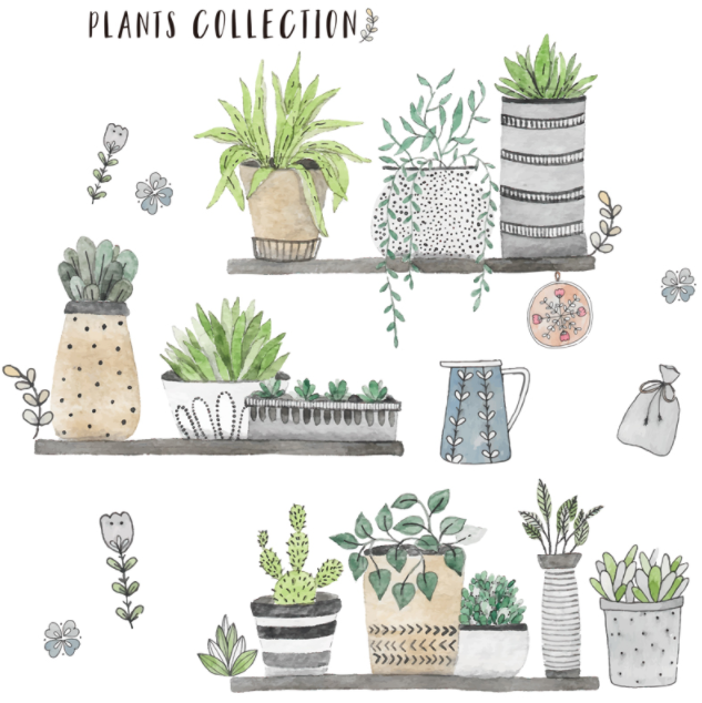 Decal trang trí tường -