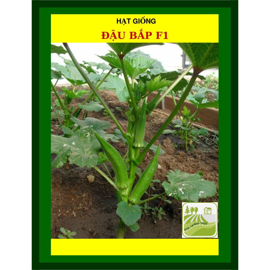 Hạt Giống Đậu Bắp Cao Sản Nam Bộ 50 Gram