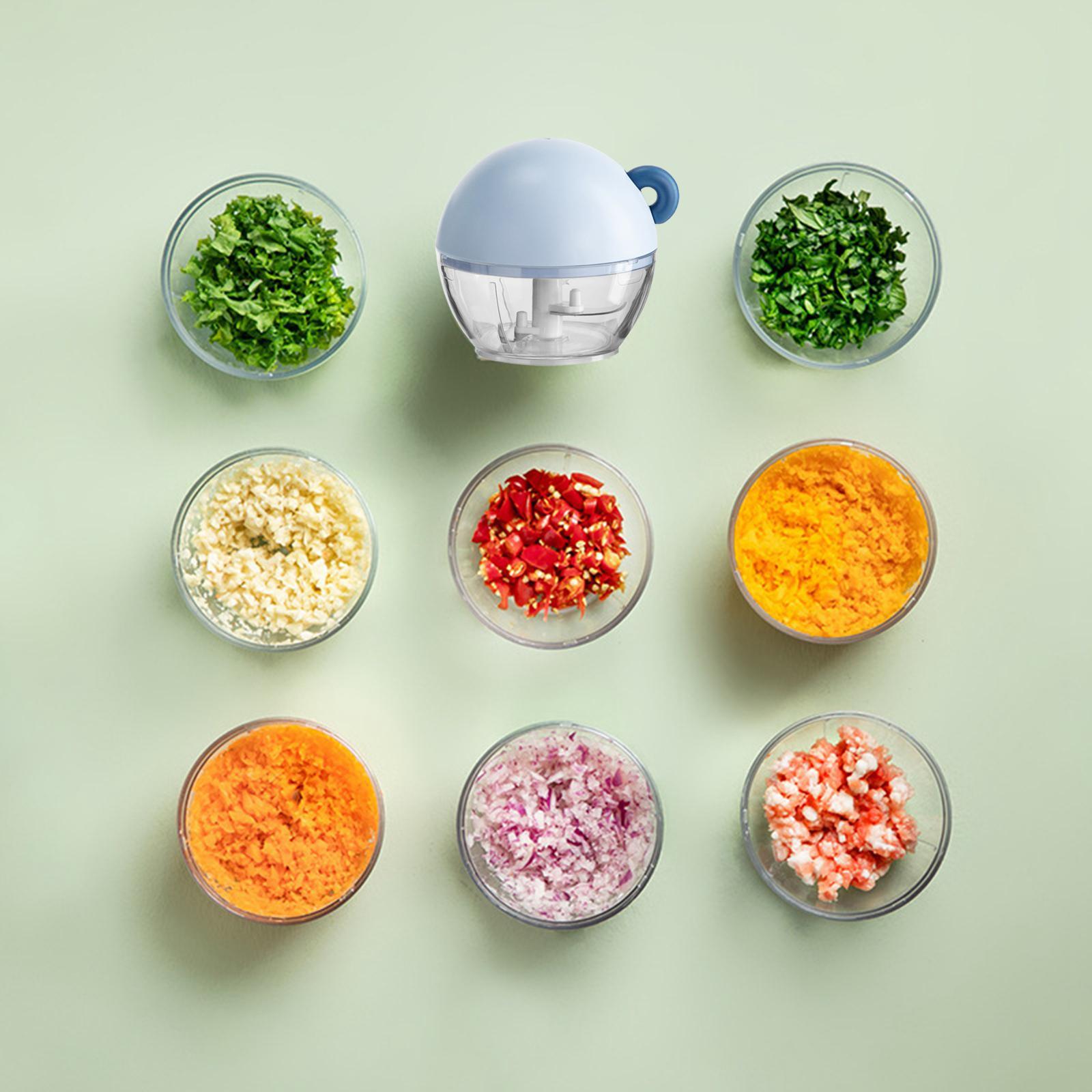 Garlic Chopper Portable Food Processor Blender for Food Meat Fruits