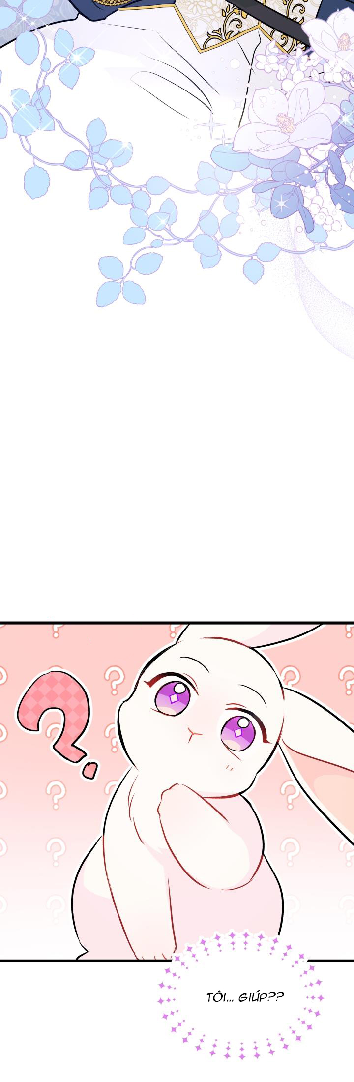 mối liên kết giữa báo đen và bé thỏ chapter 26 32