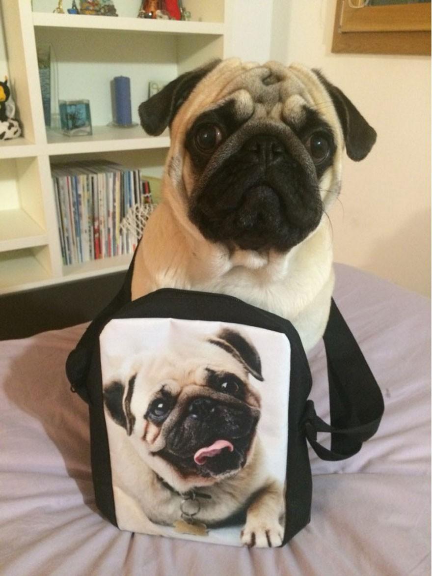 Mới Hoạt Hình Blaze In Chéo, Túi Mầm Non Bé Gái Bé Trai Nhỏ Học Nữ Trẻ Em Thường Mini Đeo Vai Túi Đeo Chéo