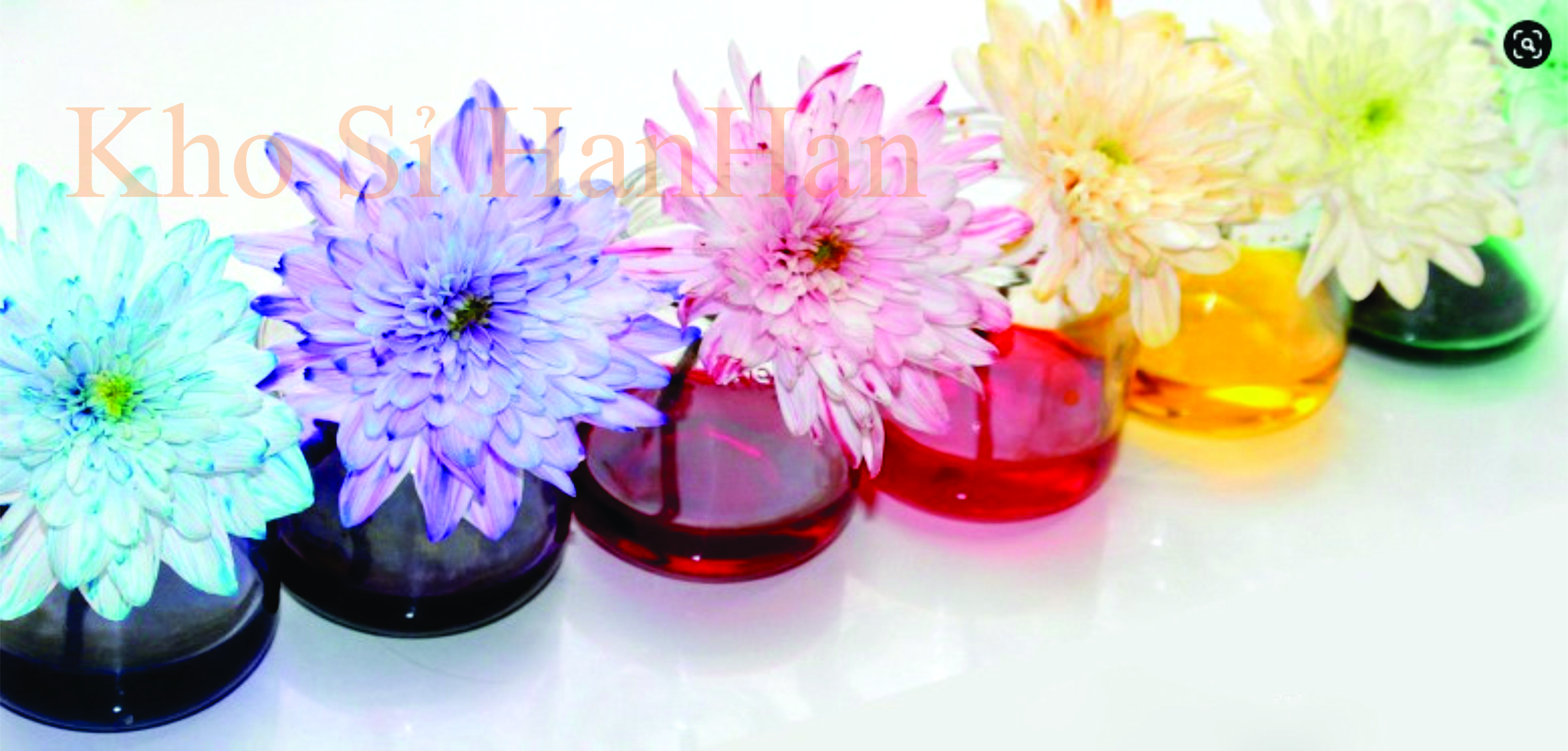 Trợ Nhuộm Màu Hoa 4 HOUR