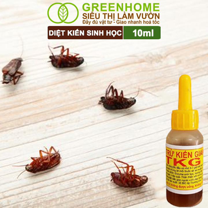 Chế Phẩm Diệt Kiến Greenhome, TKG Bio, Chai 10ml, Thành Phần Tự Nhiên,Diệt Tận Gốc Kiến Hôi,Kiến Lửa