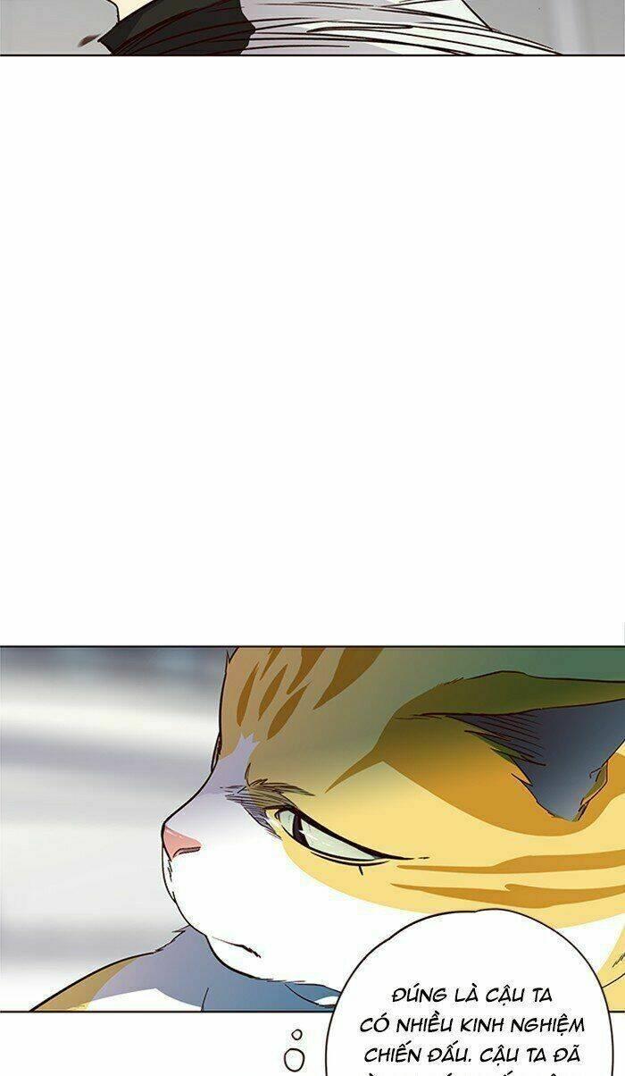 biến thân thành mèo chapter 26 63