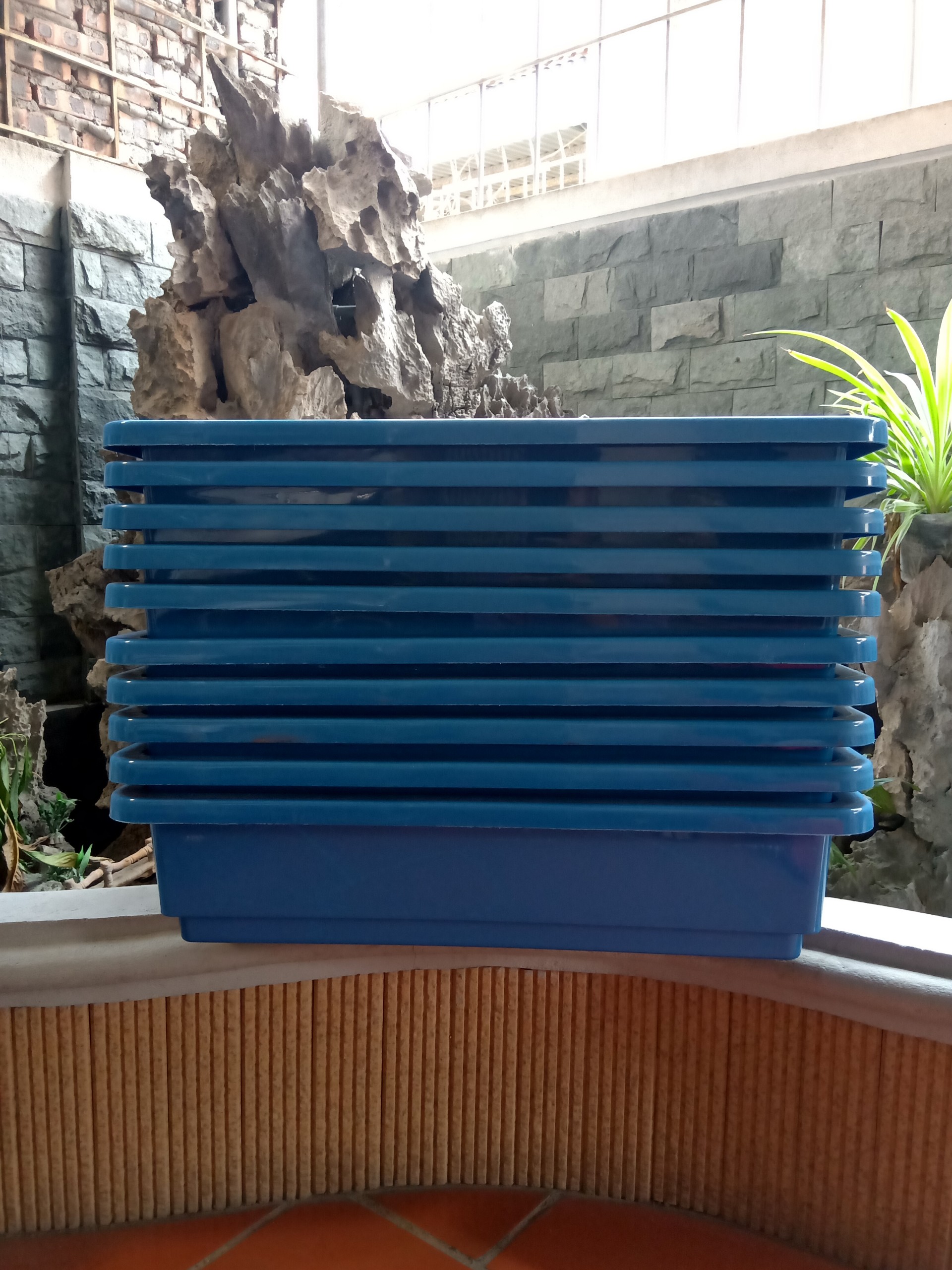 Combo 10 chậu trồng rau thông minh 2 đáy màu xanh 67x43x15 cm