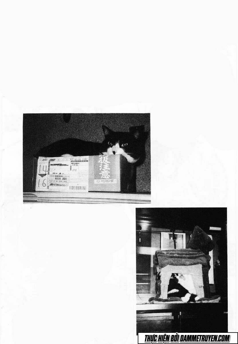 shin kotaro makaritoru! juudouhen chapter 53 4