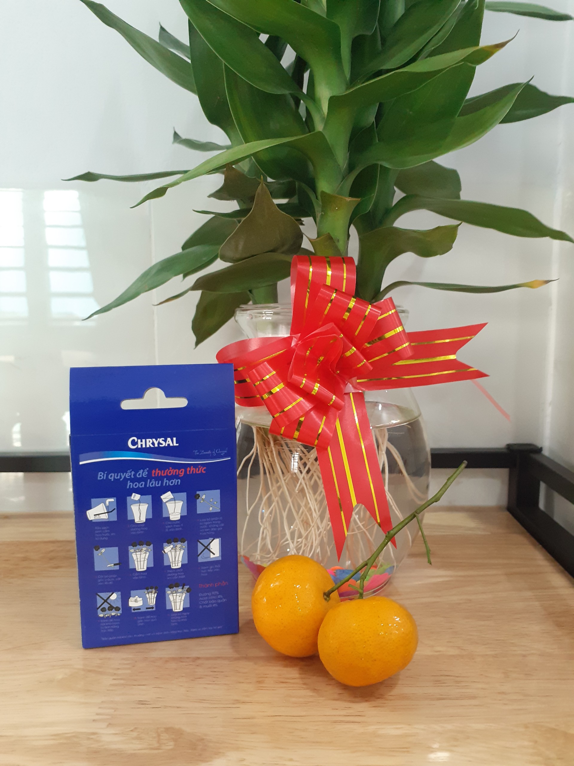 Hộp 10 gói Chất Dưỡng Hoa Chrysal UNI.
