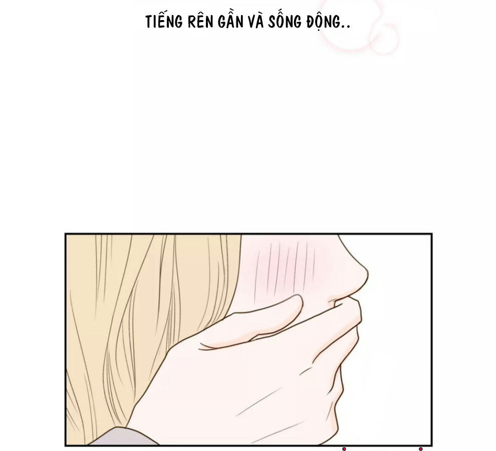 honey bed talk chapter 31 72