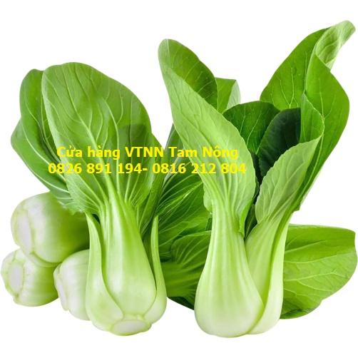 HẠT GIỐNG CẢI CHÍP, CẢI XANH LÙN _THANH GIANG_KL.20G