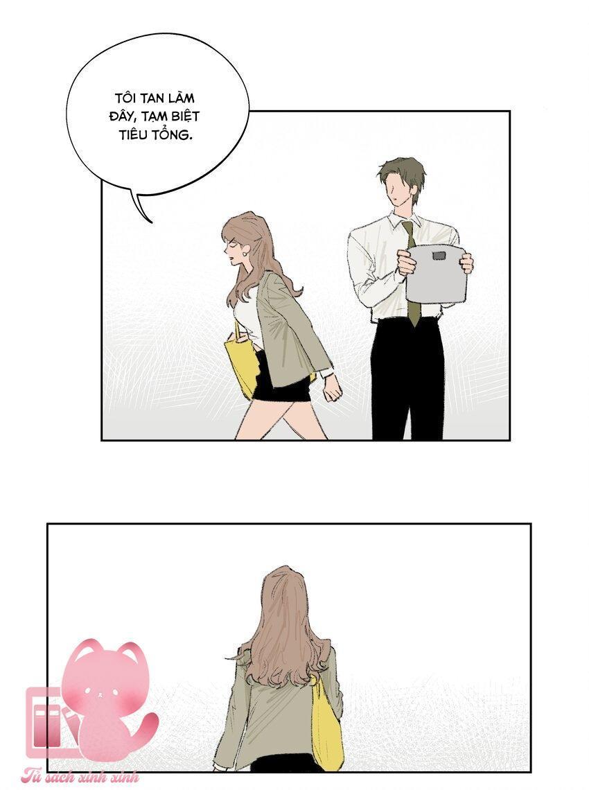 con thỏ rơi vào bẫy tin đồn chapter 2 8