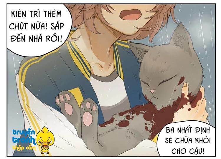 cứu mạng ! loài mèo thống trị thế giới rồi ! chapter 26 3