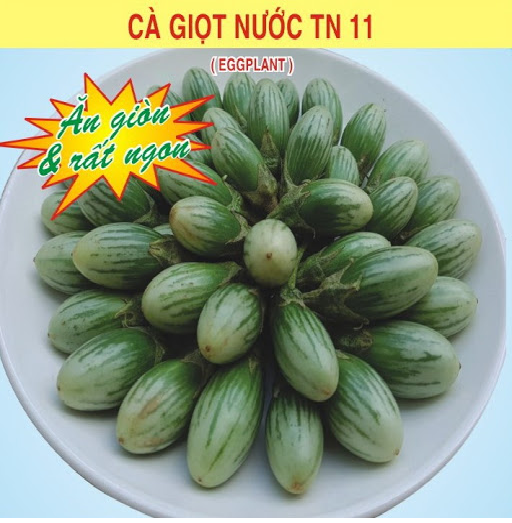 Hạt Giống Cà Giọt Nước, Cà Trứng Rồng Ăn Giòn 1gram