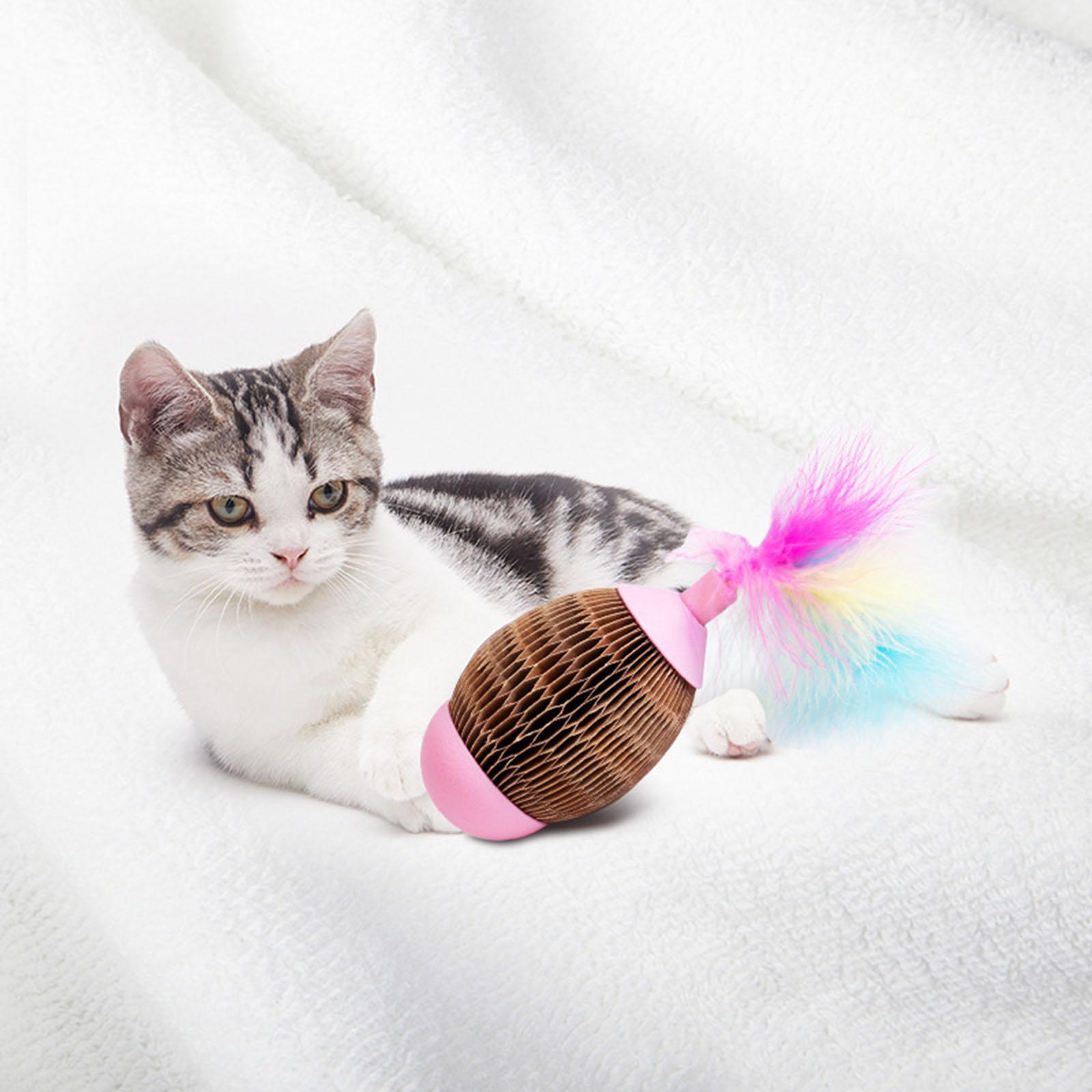 Toy Pet Exercise Toy Interactive Kitten Toys for Medium Small Cats