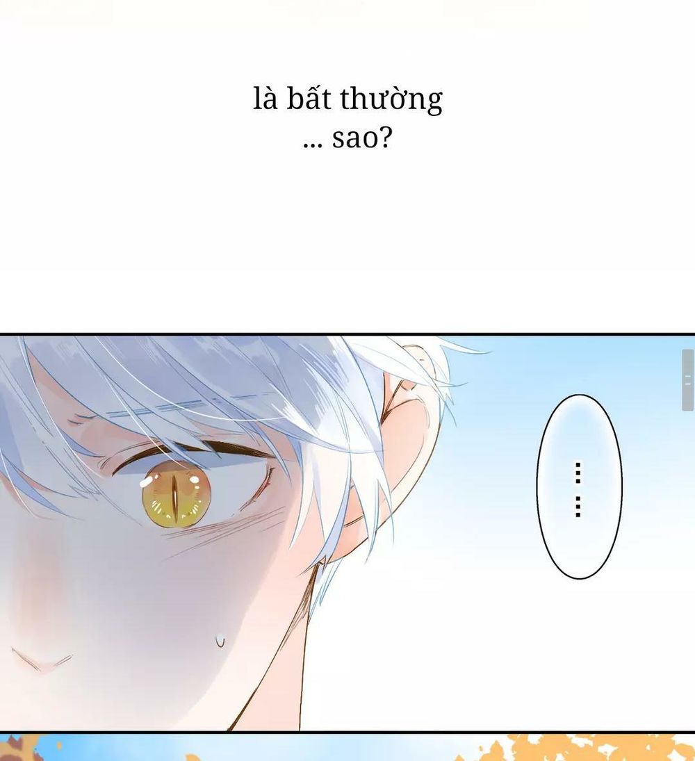 sos! tôi đã yêu một con sâu bướm (phần 2) chapter 51 53