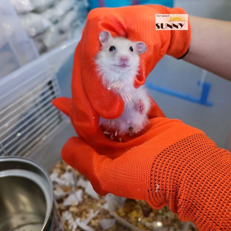 Găng tay bắt hamster, thú cưng chống cắn