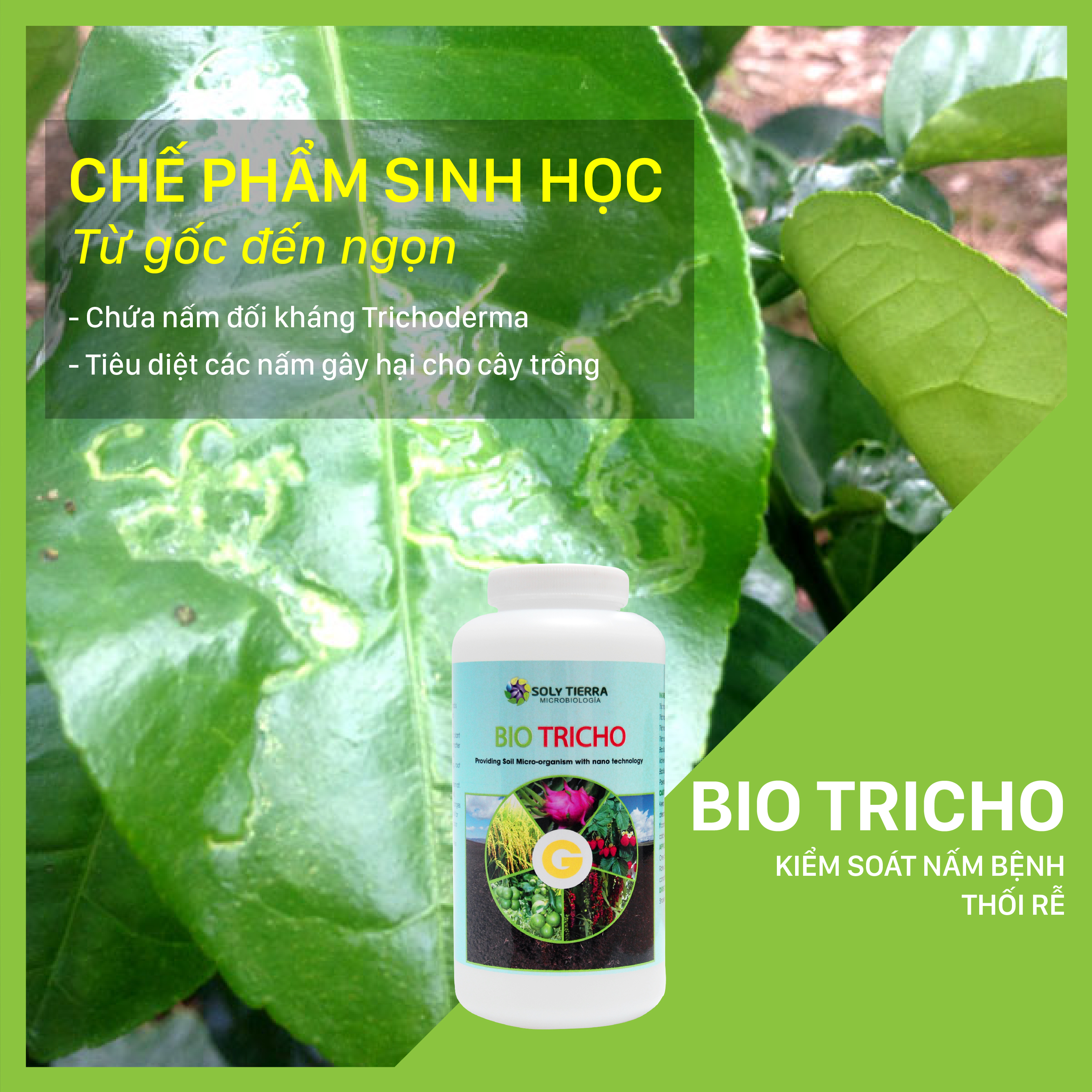 Vi sinh phòng trừ nấm tấn công gây thối bộ rễ Bio Tricho - NSX Sun &amp; Earth Microbiology  - Chai 1 quarter (≈ 1 lít)