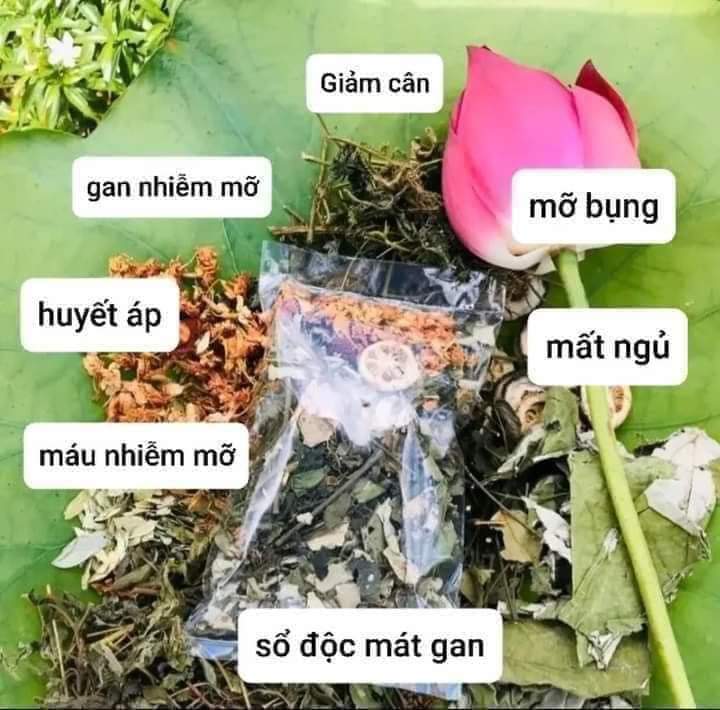 Cây trà lá nam giảm cân khô 1kg