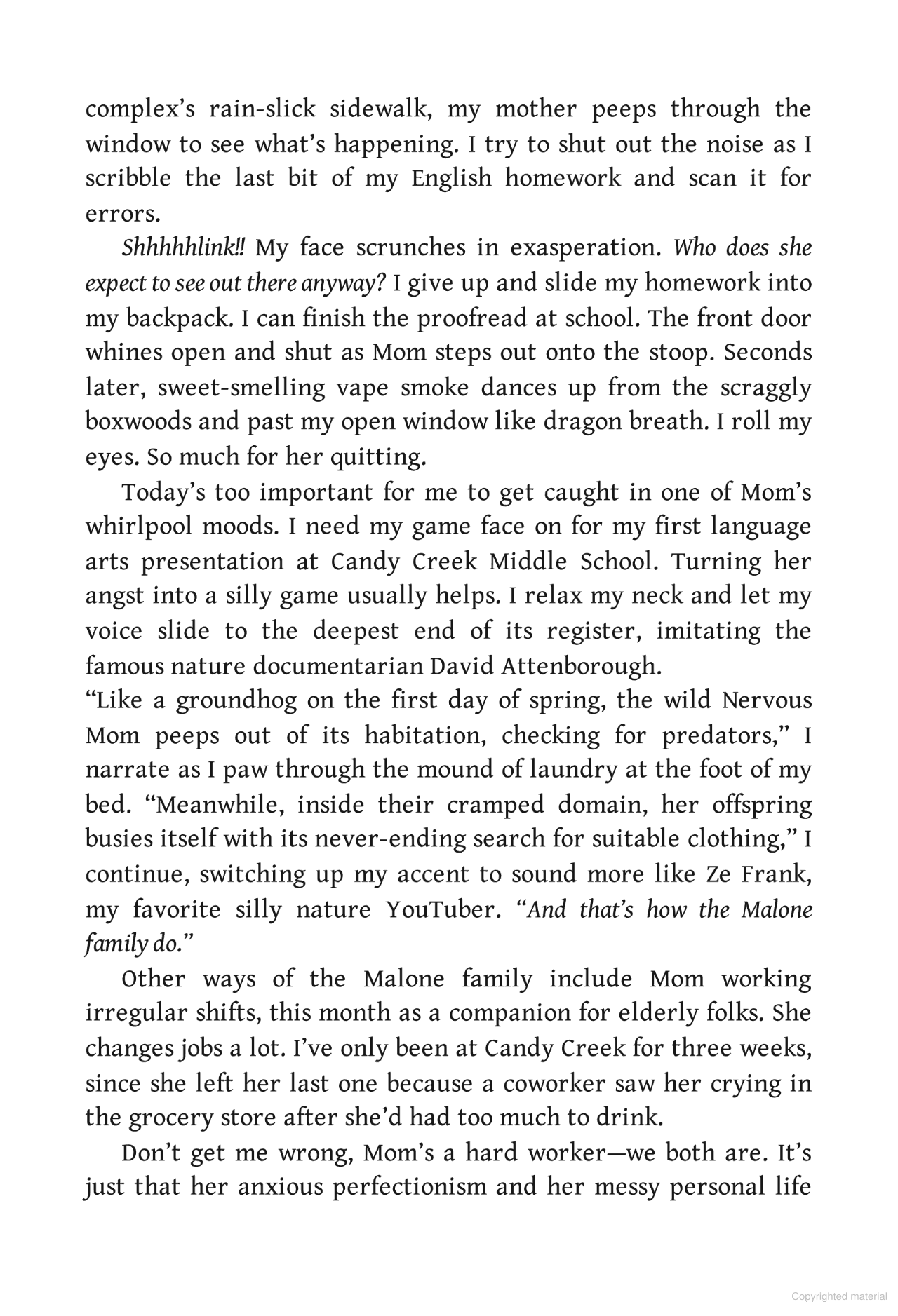 Sách ngoại văn: The Beautiful Something Else