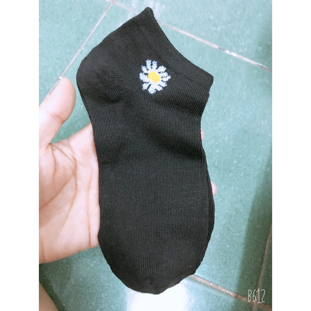 Tất hoa cúc trơn nhiều màu