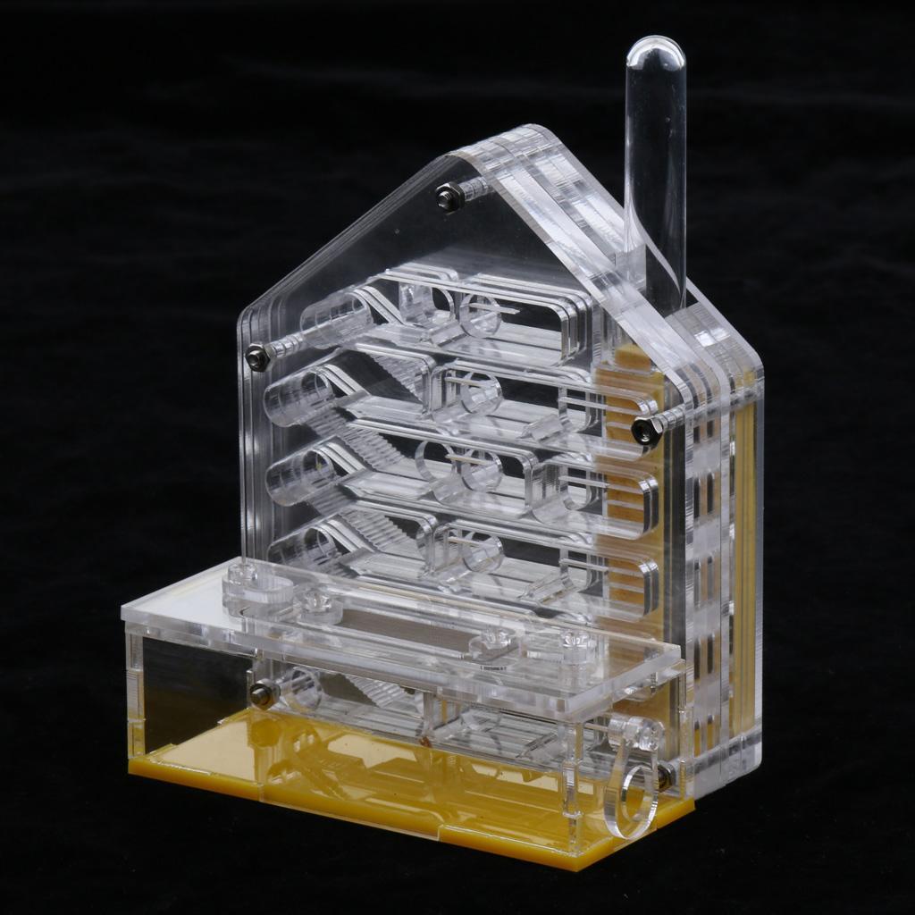 Clear Insect Ant Housing Acrylic Nest Ants Feed Farm Formicarium Box