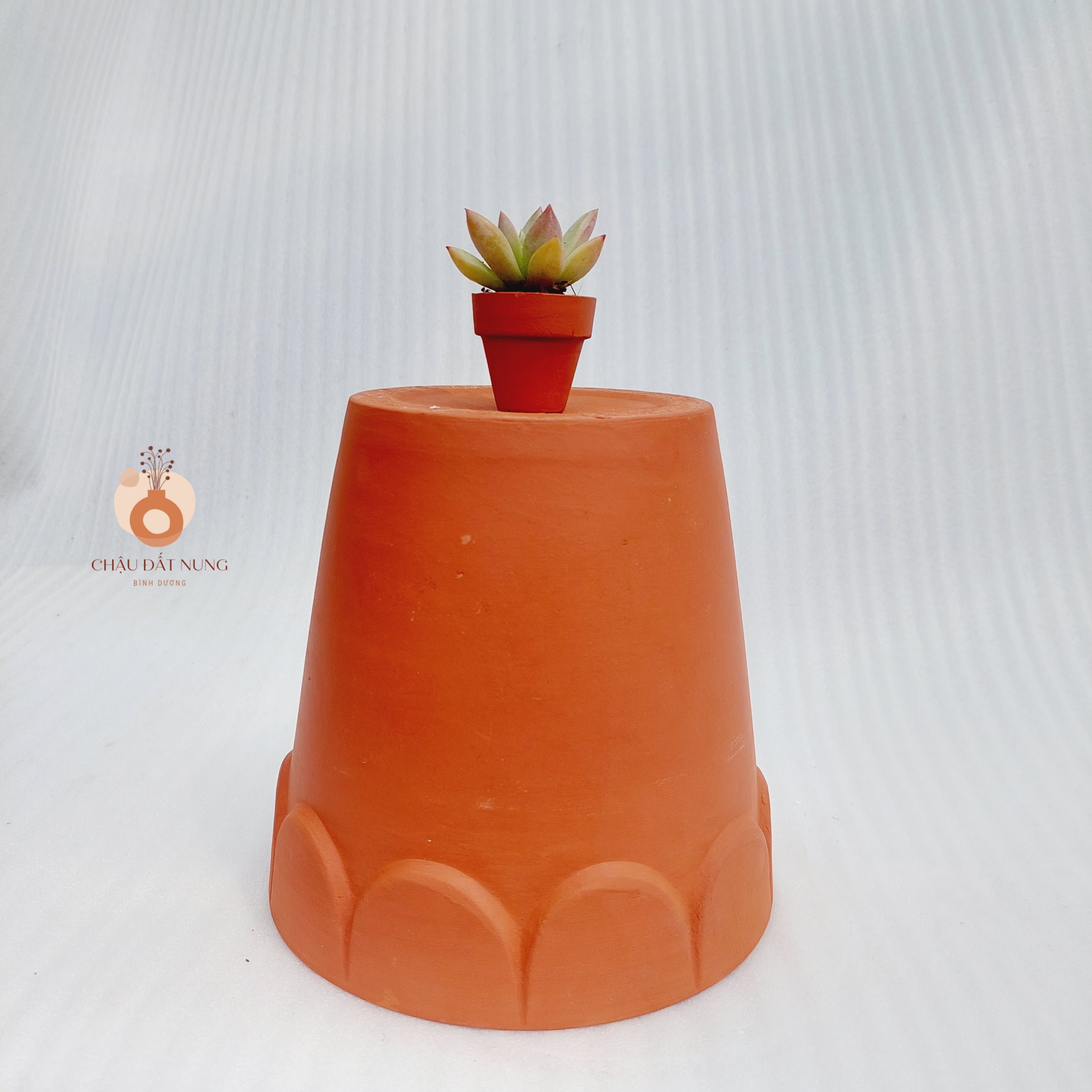 Chậu đất nung - Ly gờ hoa, miệng chậu 16cm, chiều cao 16cm