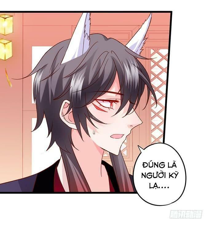 hồ tiên hung bạo chapter 136 2