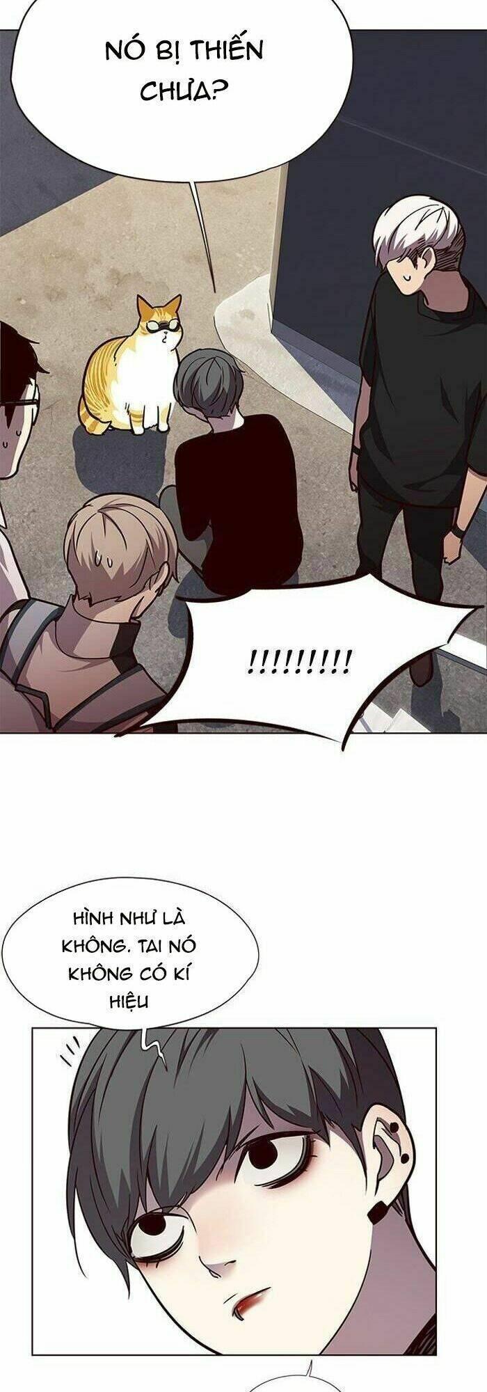 biến thân thành mèo chapter 55 45