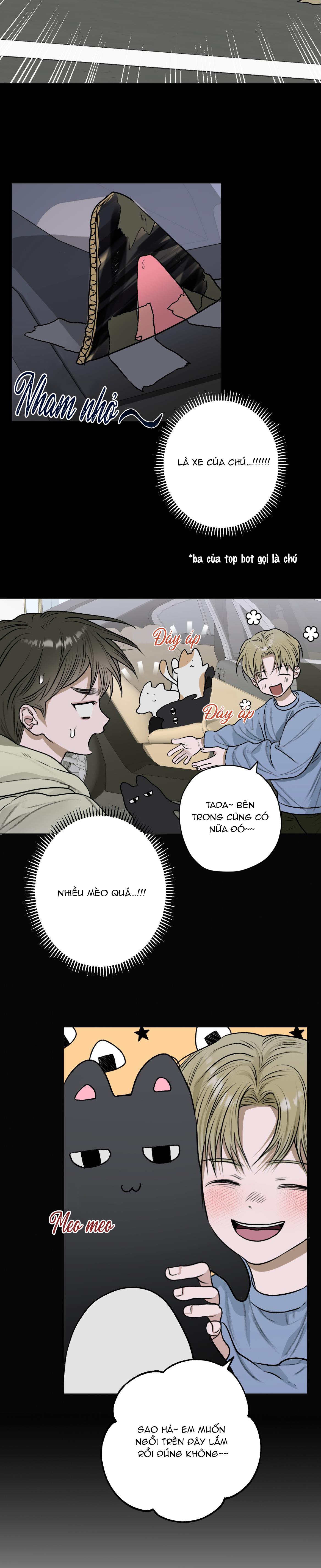 đoá hoa trên mặt hồ chapter 12 14