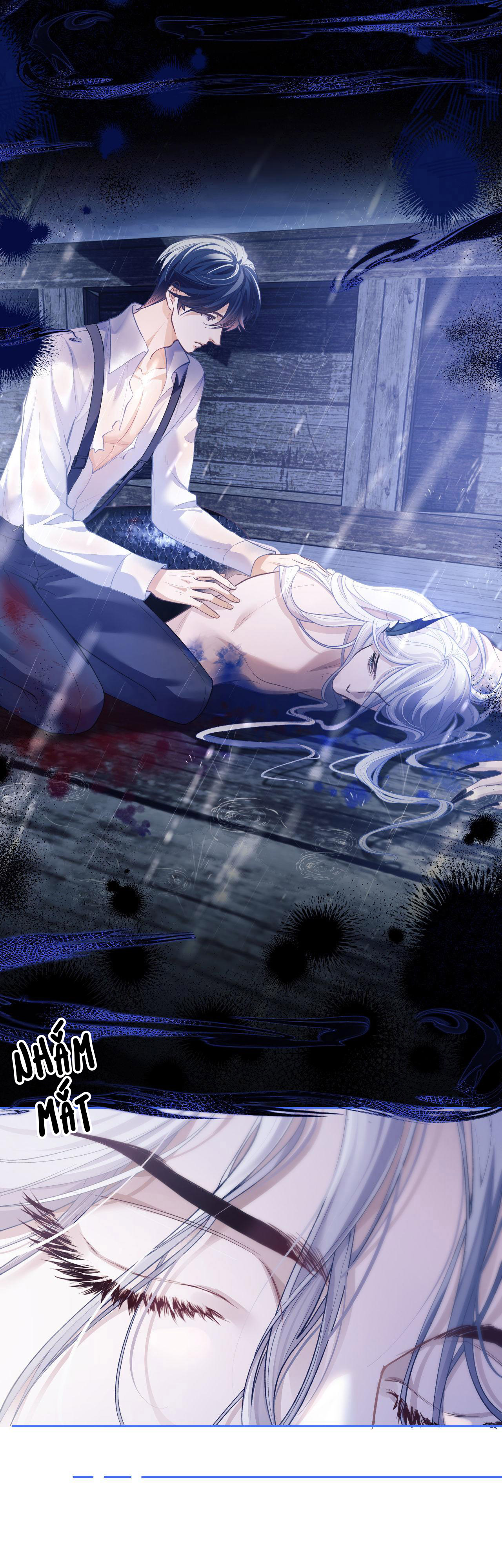 nhân ngư dessaro chapter 8 8