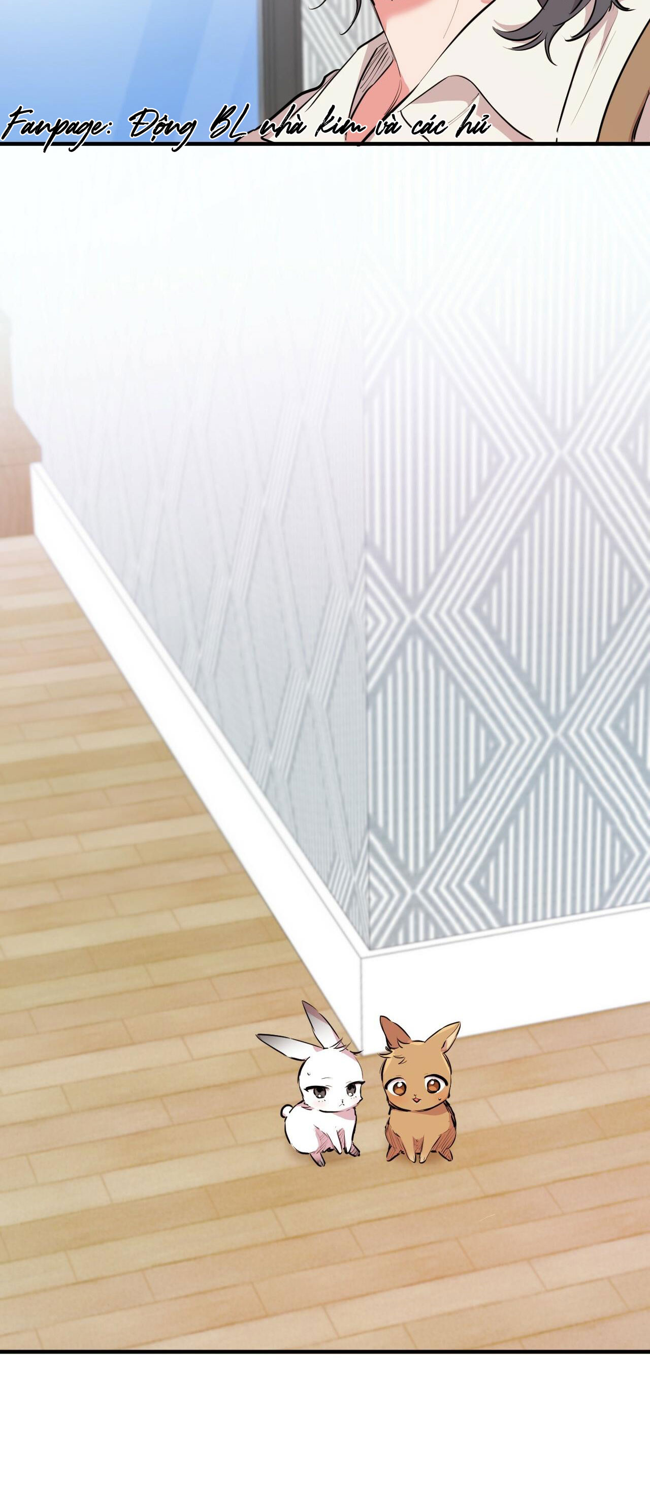 những chú thỏ của hapypy chapter 29 55