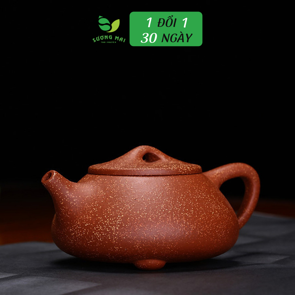 Ấm Thạch Biều Huyết Long Sa