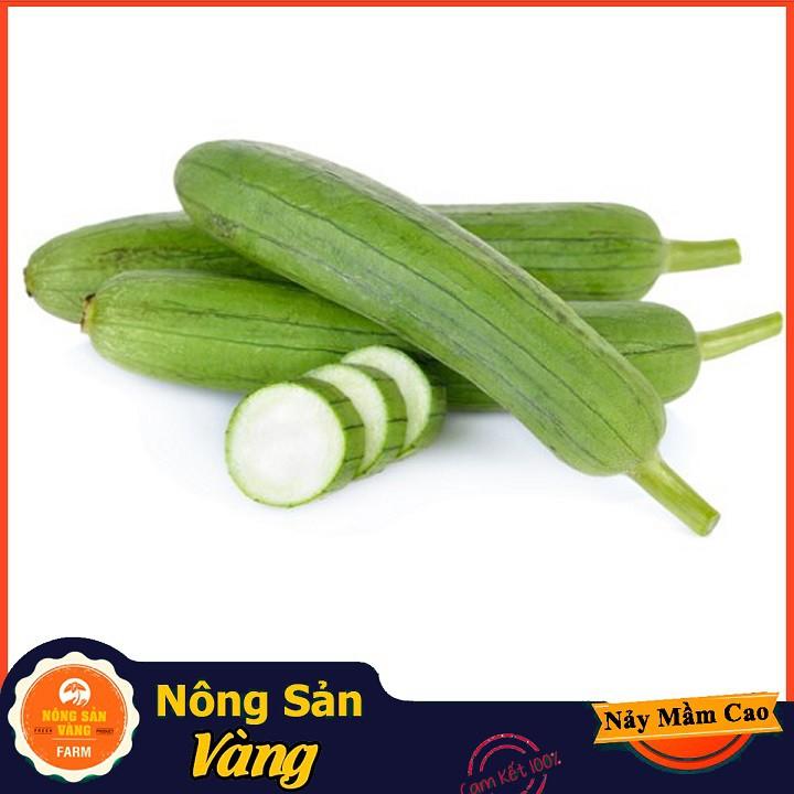 Hạt giống Mướp Hương ( Gói 15 hạt ) - Nông Sản Vàng