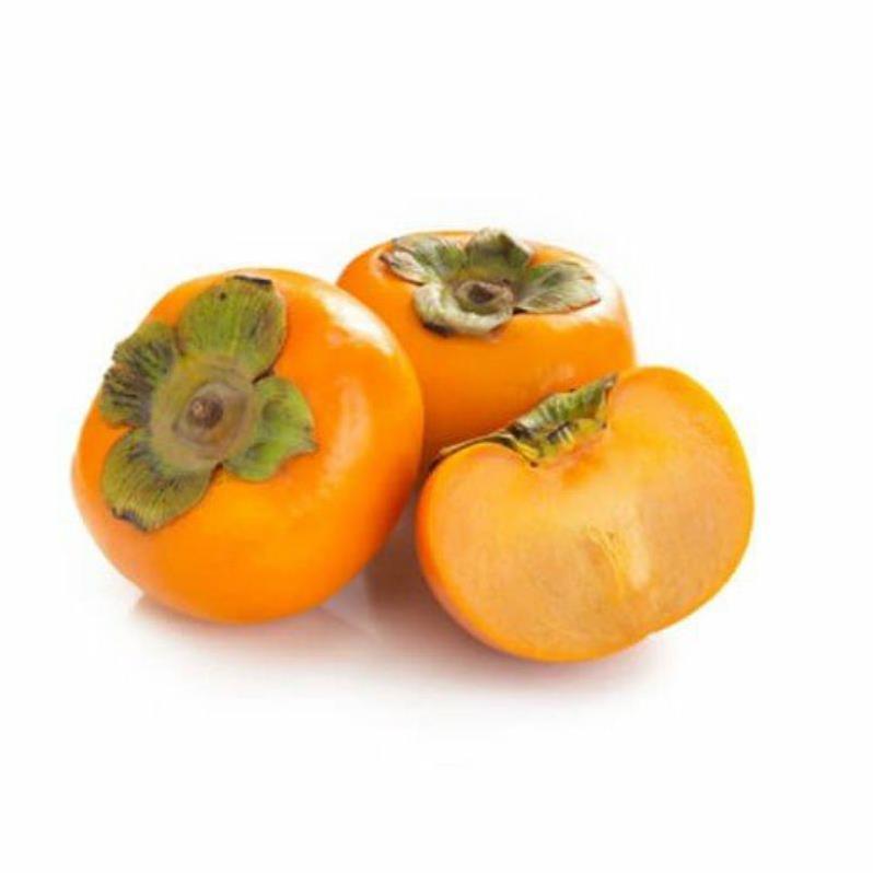 GIỐNG CÂY HỒNG GIÒN GHÉP KHÔNG HẠT